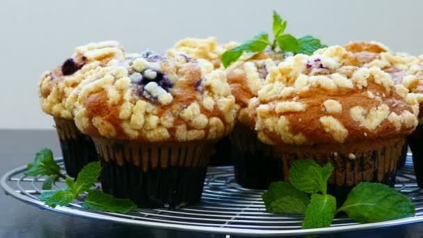 deliziosi muffin fatti in casa con mirtilli sulla griglia metallica
 - Filmati, video