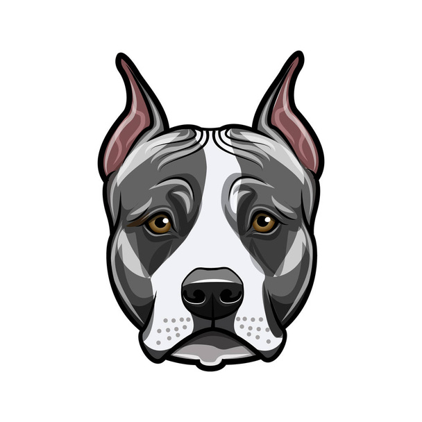 American staffordshire terrier head face. Dog portrait. Staffordshire terrier breed. Vector. - Wektor, obraz