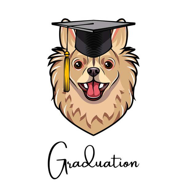 Chihuahua Dog Graduate. Graduation cap hat. Dog portrait. Vector. - Wektor, obraz