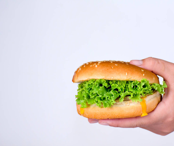 Hamburger su mani su sfondo bianco, gli hamburger si concentrano su verdure sane
. - Foto, immagini