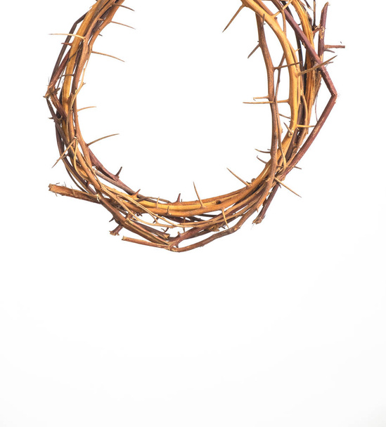 Crown Thorns on iSolated White Background - Photo, Image