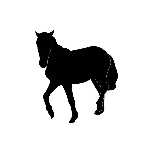 Silueta del caballo. Negro sobre fondo transparente. Vector
 - Vector, imagen