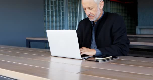 Mature businessman using laptop in hotel 4k - Imágenes, Vídeo