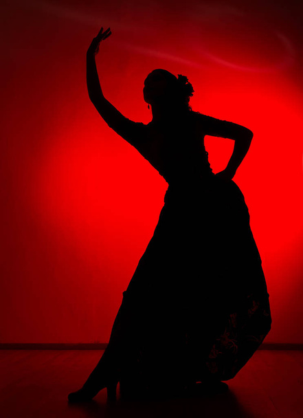 silhouette of spanish girl flamenco dancer on a red background - 写真・画像
