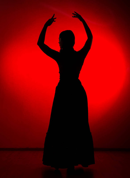 silhouette of spanish girl flamenco dancer on a red background - Photo, Image