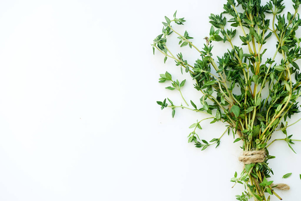 Bouquet of fresh thyme twigs on white background with copy space - 写真・画像