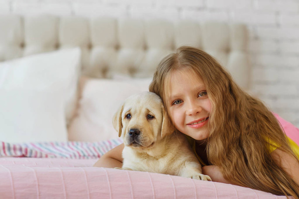 Beautiful little girl with golden retriever dog in a bed - Foto, Imagem
