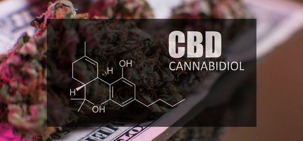 Gemme di cannabis Immagine di Formula CBD primo piano. Concetto di marijuana guarente
  - Foto, immagini
