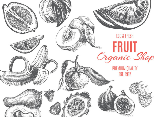 Fruit organic shop. Banner sketch  - Vetor, Imagem