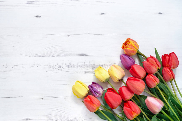 Colorful tulips bouquet on white wooden background. Holiday back - Photo, Image