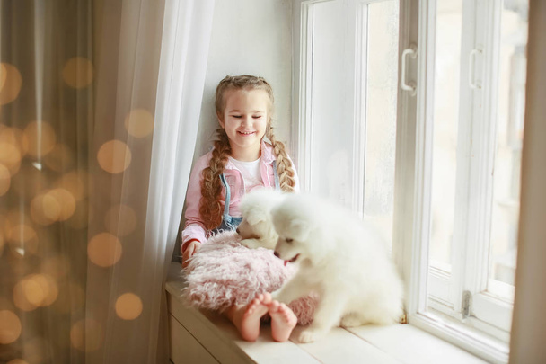 little girl posing with puppies on windowsill in studio  - Photo, image