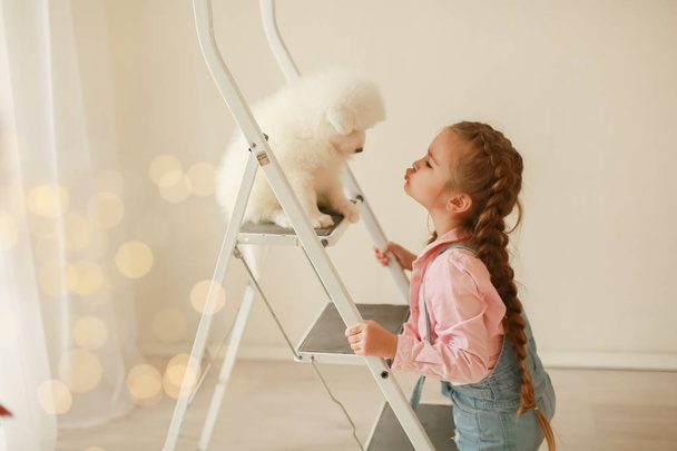 girl with cute puppy on ladder posing in studio  - Фото, изображение