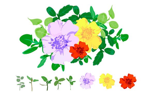 Csokor virág design vektor: kerti rózsaszín Barack levendula krémes por halványsárga Rózsa virág, kökörcsin eukaliptusz ág zöld levelek bogyó. Vektor esküvői meghív kártya akvarell Tervező elem beállítása - Vektor, kép