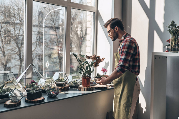 florist man in apron taking care of potted plants while standing at window sill  - Foto, afbeelding