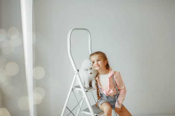 girl with cute puppy on ladder posing in studio  - Foto, afbeelding