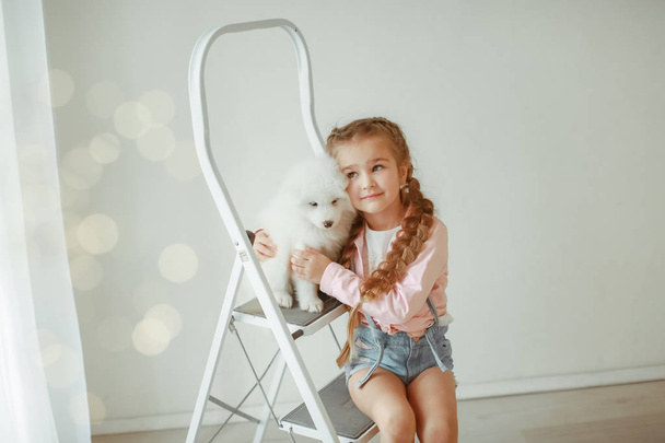 girl with cute puppy on ladder posing in studio  - Foto, immagini