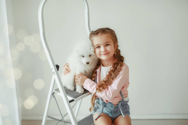 girl with cute puppy on ladder posing in studio  - 写真・画像