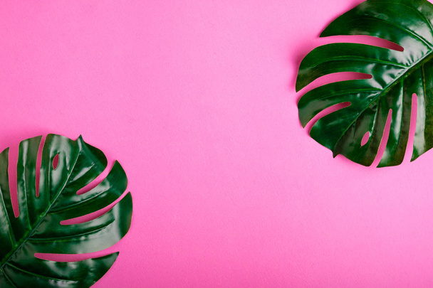 Monstera de folhas tropical em fundo rosa. Depósito plano
 - Foto, Imagem