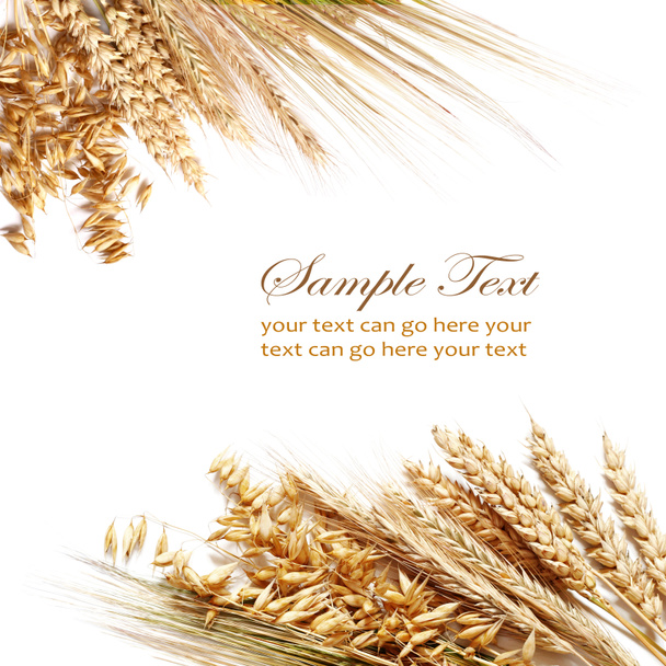 Пшеничная рама
 - Фото, изображение