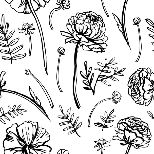 vector illustration design of Graphic seamless with Ranunculus - Vetor, Imagem