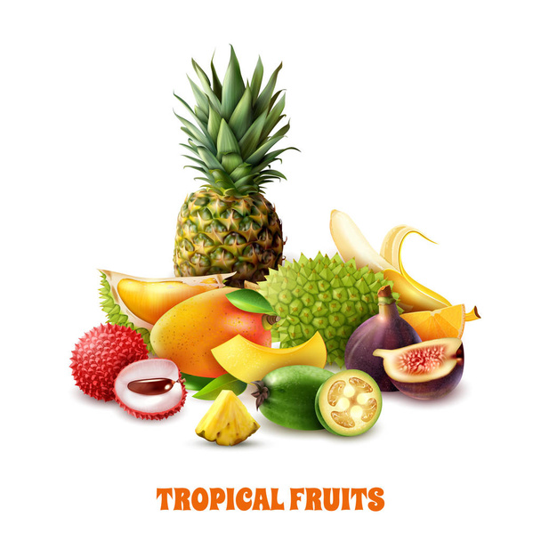 Egzotikus trópusi gyümölcsök összetétele - Vektor, kép