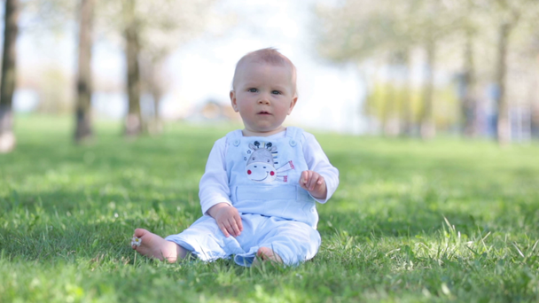 Aranyos baba kisfiú, cseresznyevirág kertben játszik. Gyermek tavaszi virágok, gyümölcs, gyümölcsös, cseresznye virágoskert. - Felvétel, videó
