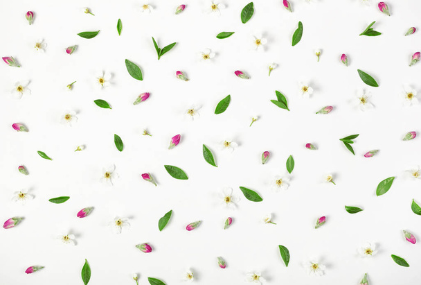 Floral pattern made of spring flowers, pink buds and leaves isolated on white background. Flat lay. Top view. - Zdjęcie, obraz