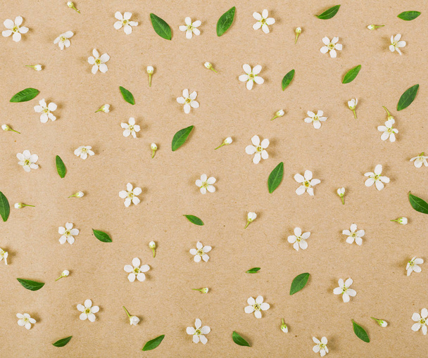 Květinový vzor z bílé jarní květy, pupeny a zelené listy na hnědém papírovém pozadí. Byt leží. Pohled shora. - Fotografie, Obrázek