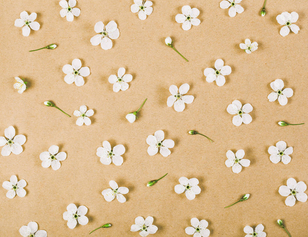 Bloemmotief gemaakt van witte Lentebloemen en knoppen op bruine papieren achtergrond. Flat lag. Bovenaanzicht. - Foto, afbeelding