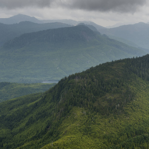 Wysoki kąt widok na dolinę z góry, Skeena-Queen Charlotte Regional District, Haida Gwaii, Graham Island, British Columbia, Kanada - Zdjęcie, obraz