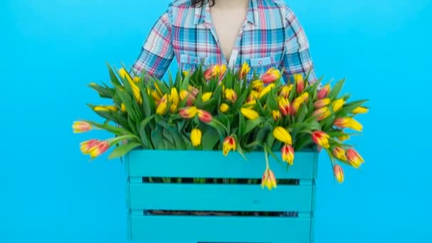 Mooie jonge vrouwelijke bloemist met doos met tulpen - Video