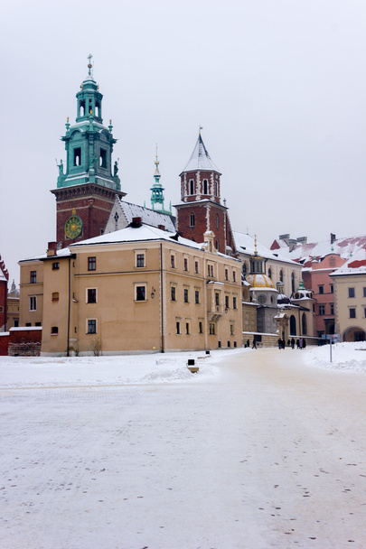 Castle in Krakow - Photo, Image