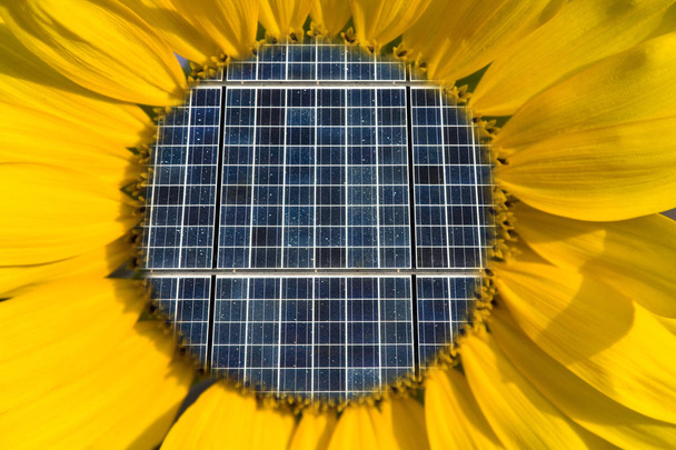 ひまわり概念の中の太陽電池パネル - 写真・画像