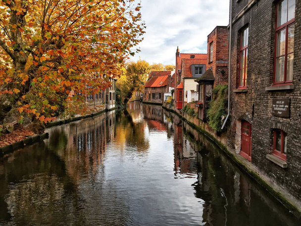 Canal de Brujas que rodeado de casas históricas en Bélgica
 - Foto, imagen