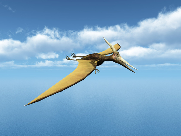 Hochseesegeln pteranodon ingens - Foto, Bild