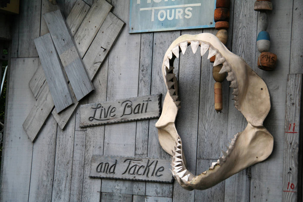 Live Bait and Tackle Sign close up shot - Photo, Image