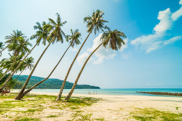 Tropisch strand en zee met coconut palm tree in parad - Foto, afbeelding
