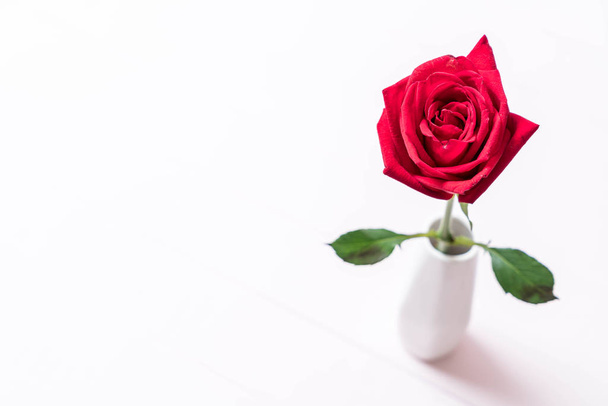 red rose on wood  - Фото, изображение