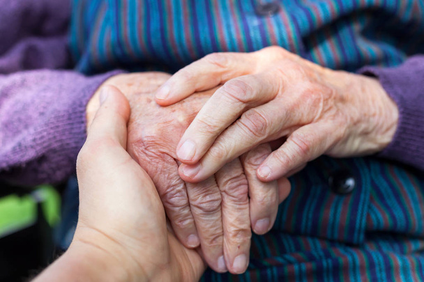 Elderly female hands - Foto, Imagem