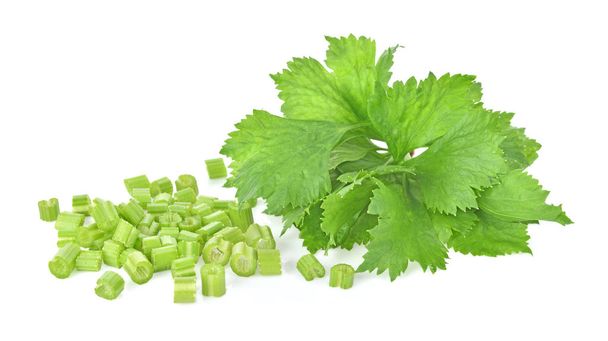  Celer izolovaný na bílém pozadí - Fotografie, Obrázek