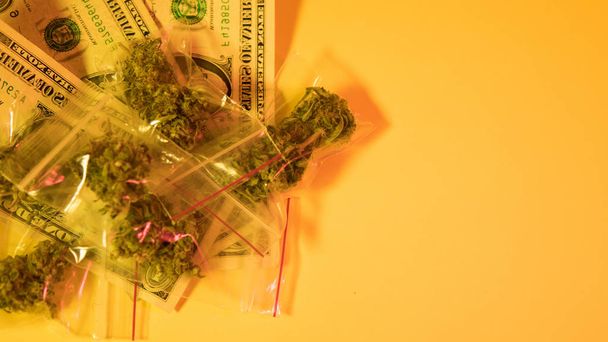medicinale toppen van marihuana close-up. Grote kegels van onkruid liggend op een gele achtergrond met dollars. - Foto, afbeelding