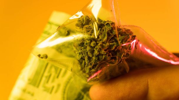 Buds of marijuana plastic pocket close-up.  Best marijuana strains 2018  - Photo, Image