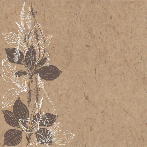 Floral background with plantain on craft paper. Vector illustration - Vecteur, image