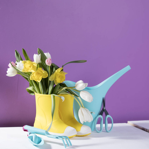 the Yellow rubber boots with a bouquet of flowers of yellow daffodils and white and pink tulips. Garden accessories. - Foto, immagini
