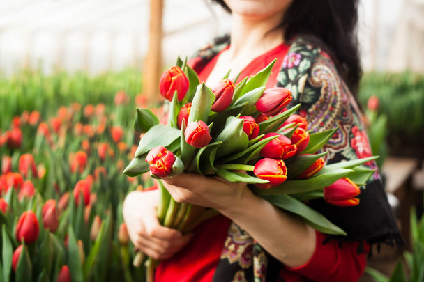 Girl holding beautiful red tulips grown in greenhouse - Photo, image