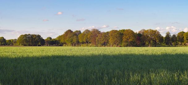 Rural landscape during spring - Valokuva, kuva