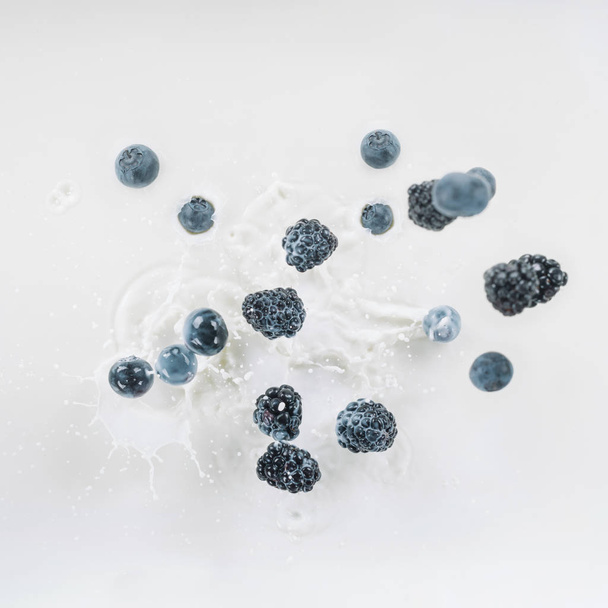 Blackberries and blueberries splashing into milk on white background - Zdjęcie, obraz