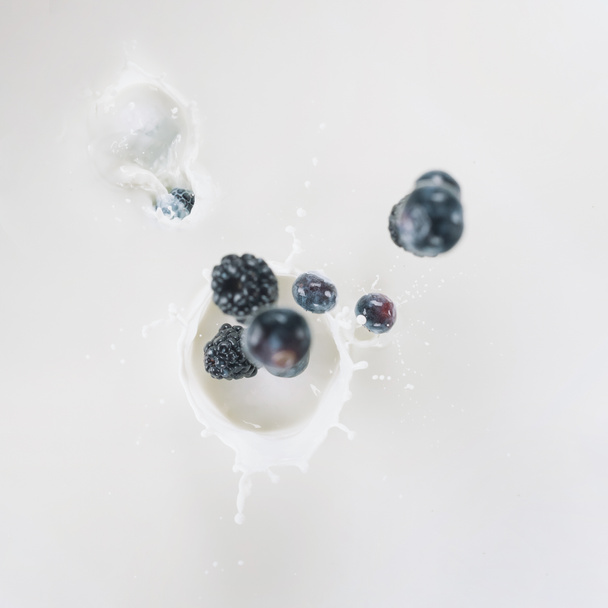 Raw blue berries splashing into milk on white background - Fotografie, Obrázek
