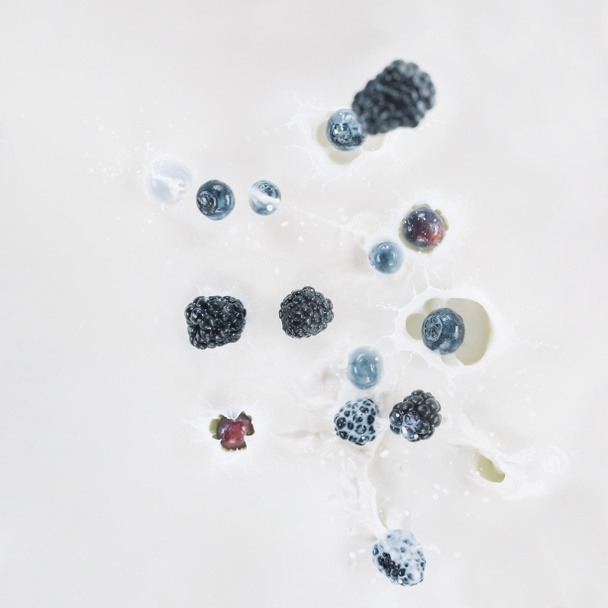 Jeżyny i jagody, upuszczając w mleko na białym tle - Zdjęcie, obraz