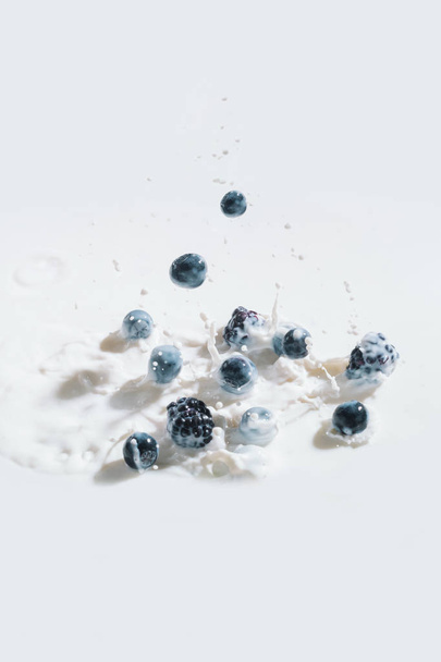 Moras y arándanos que caen en la leche con gotas sobre fondo blanco
 - Foto, Imagen